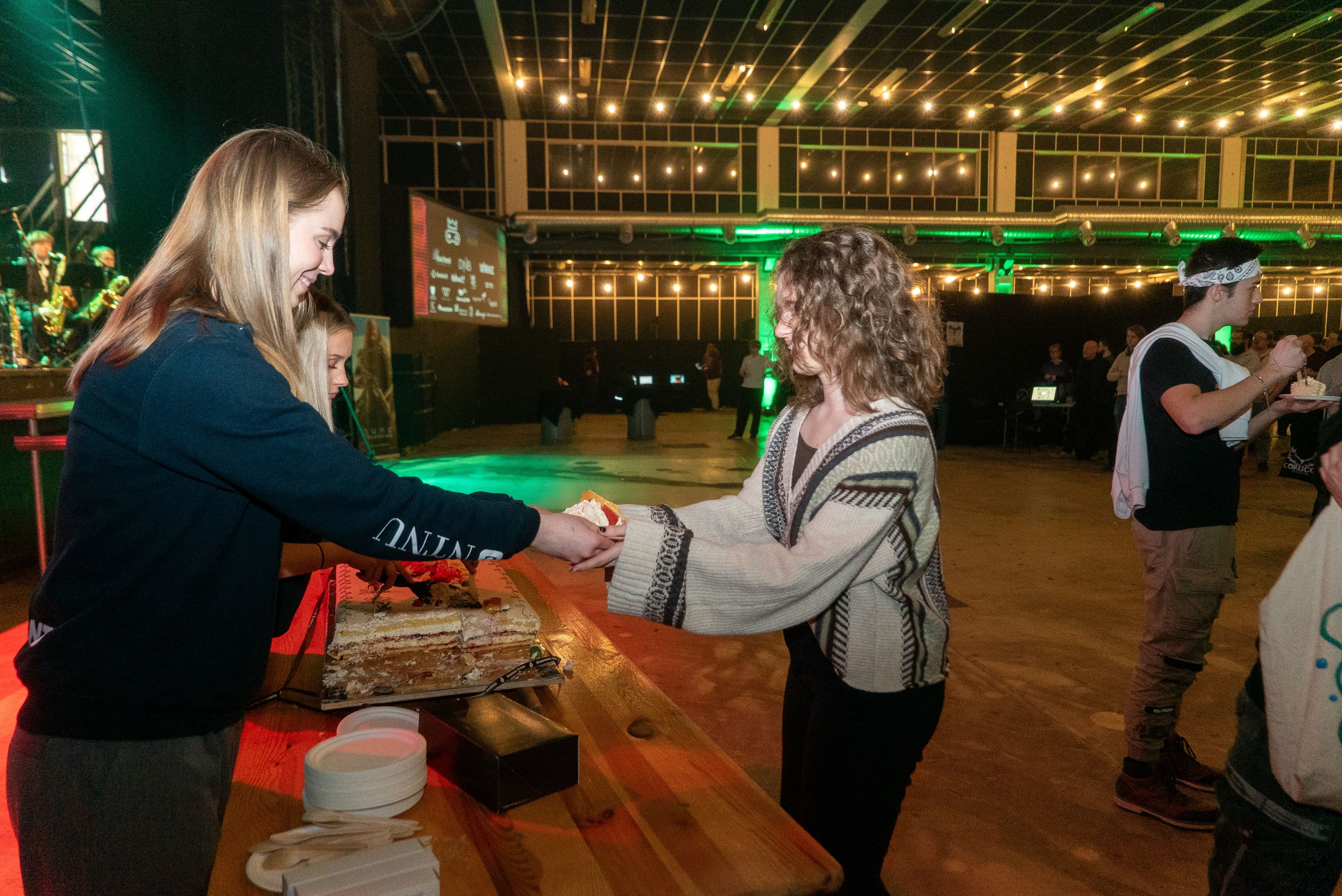 Bilde mangler alternativ tekst